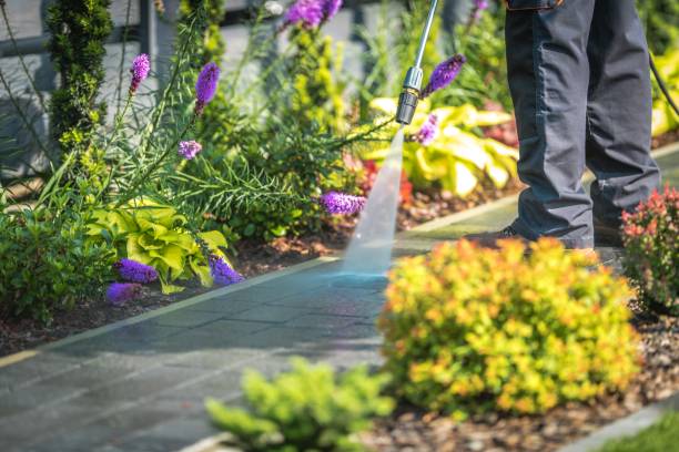  Placerville, CA Pressure Washing Pros